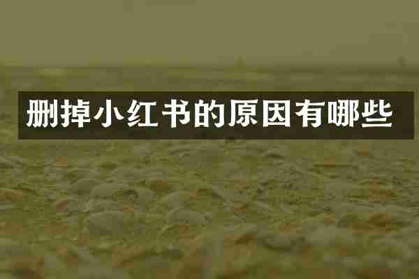 删掉小红书的原因有哪些