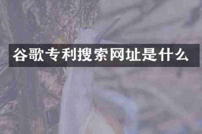 谷歌专利搜索网址是什么