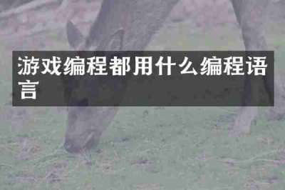 游戏编程都用什么编程语言