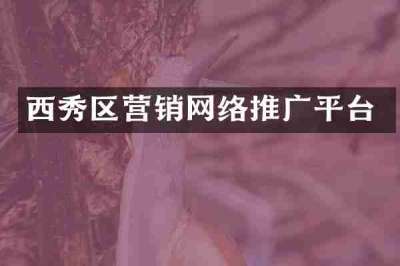 西秀区营销网络推广平台