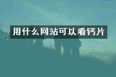 用什么网站可以看钙片