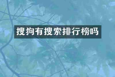 搜狗有搜索排行榜吗