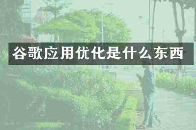 谷歌应用优化是什么东西