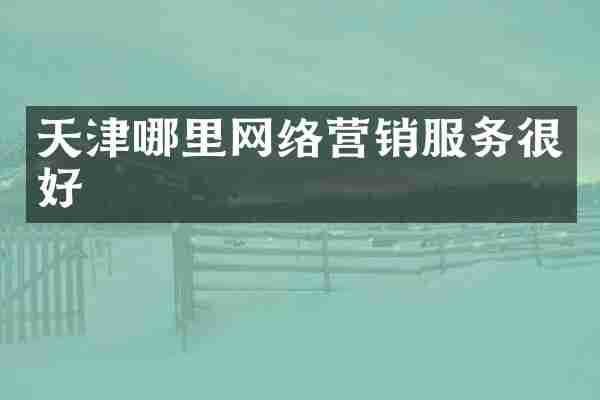 天津哪里网络营销服务很好