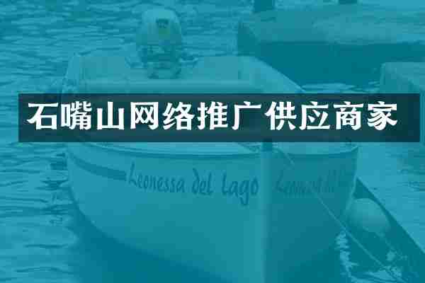 石嘴山网络推广供应商家