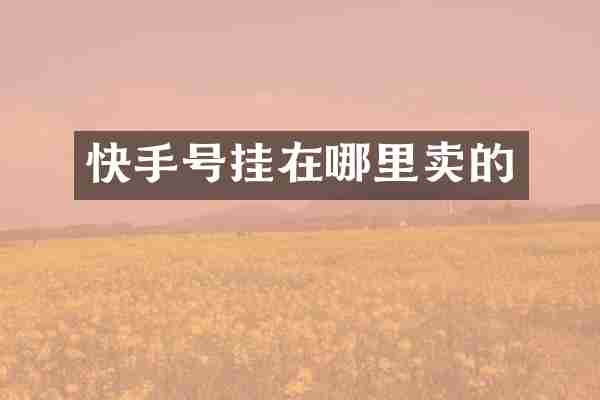 快手号挂在哪里卖的