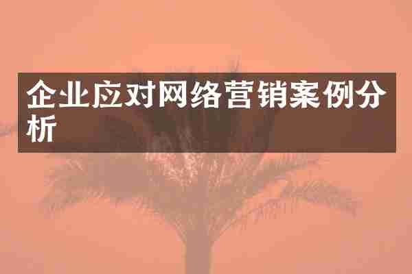 企业应对网络营销案例分析