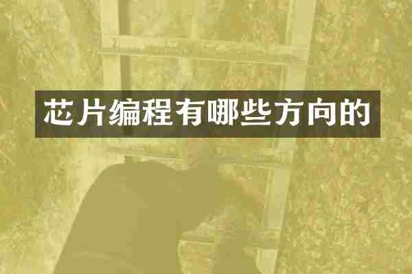 芯片编程有哪些方向的