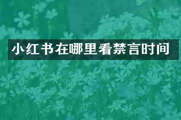 小红书在哪里看禁言时间