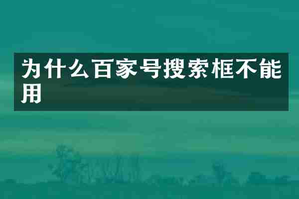 为什么百家号搜索框不能用