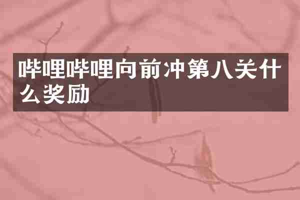 哔哩哔哩向前冲第八关什么奖励