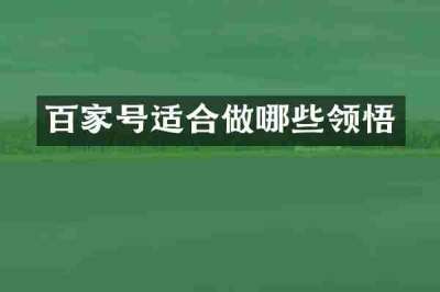 百家号适合做哪些领悟