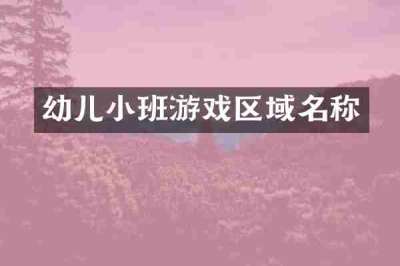 幼儿小班游戏区域名称