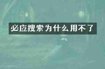 必应搜索为什么用不了