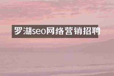 罗湖seo网络营销招聘