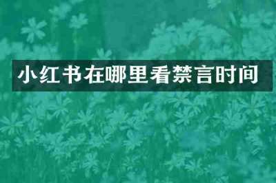 小红书在哪里看禁言时间