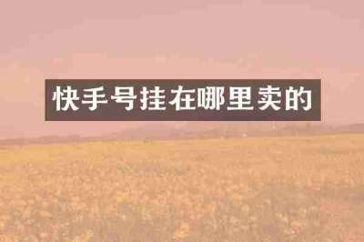 快手号挂在哪里卖的