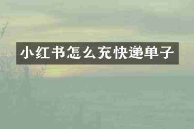 小红书怎么充快递单子