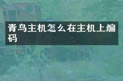 青鸟主机怎么在主机上编码