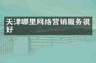 天津哪里网络营销服务很好