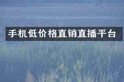 手机低价格直销直播平台