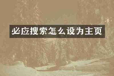 必应搜索怎么设为主页