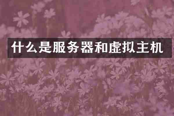 什么是服务器和虚拟主机