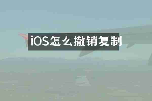iOS怎么撤销复制