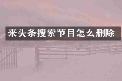 来头条搜索节目怎么删除