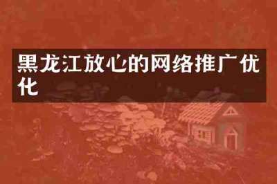 黑龙江放心的网络推广优化