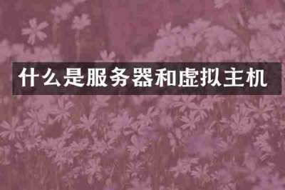 什么是服务器和虚拟主机