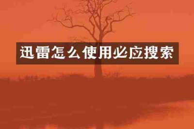 迅雷怎么使用必应搜索