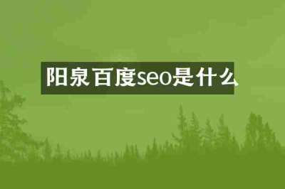 阳泉百度seo是什么