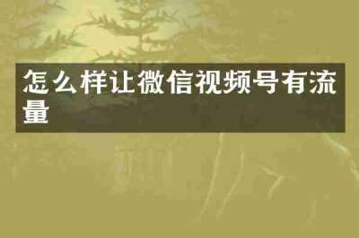 怎么样让微信视频号有流量