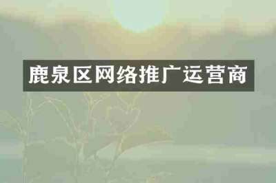 鹿泉区网络推广运营商