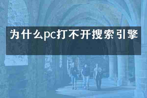 为什么pc打不开搜索引擎了