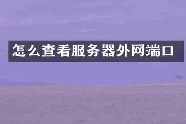 怎么查看服务器外网端口