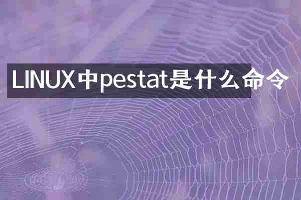 LINUX中pestat是什么命令