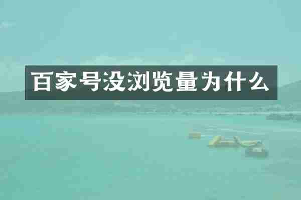 百家号没浏览量为什么