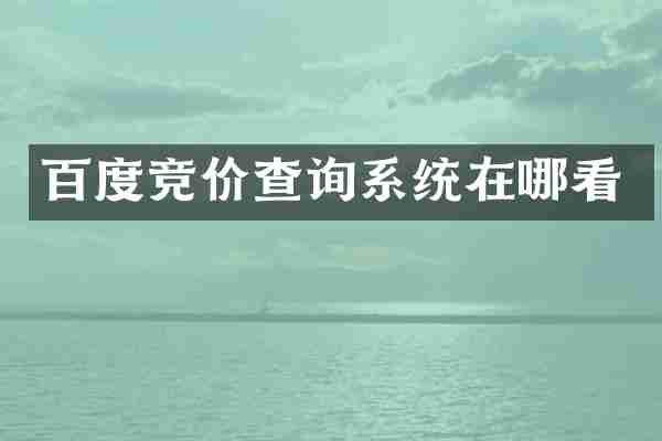 百度竞价查询系统在哪看