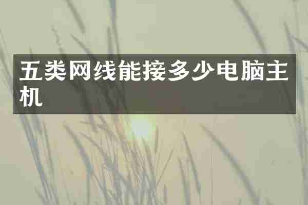 五类网线能接多少电脑主机