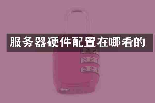 服务器硬件配置在哪看的