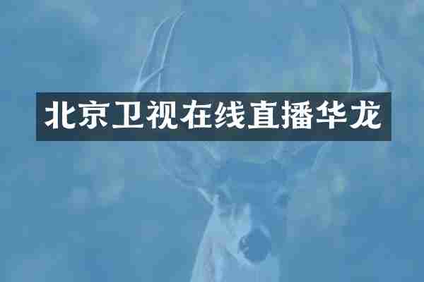 北京卫视在线直播华龙