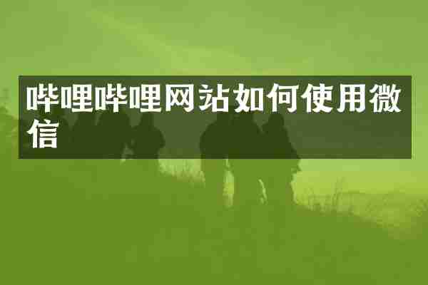 哔哩哔哩网站如何使用微信