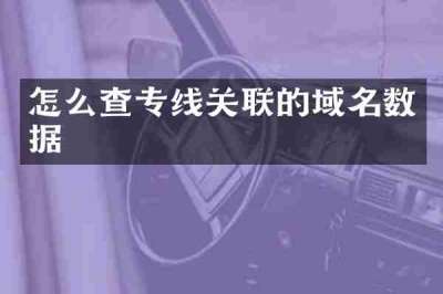 怎么查专线关联的域名数据