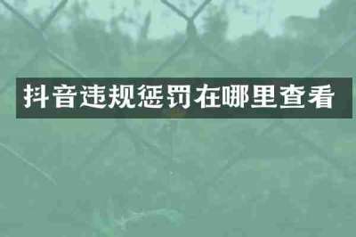 抖音违规惩罚在哪里查看