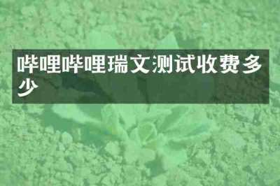 哔哩哔哩瑞文测试收费多少