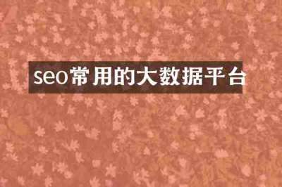 seo常用的大数据平台