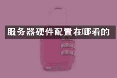 服务器硬件配置在哪看的