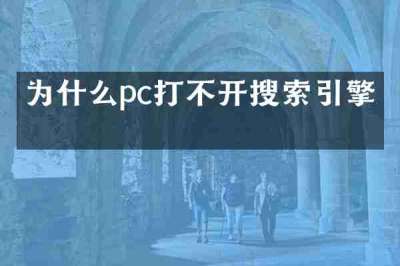 为什么pc打不开搜索引擎了